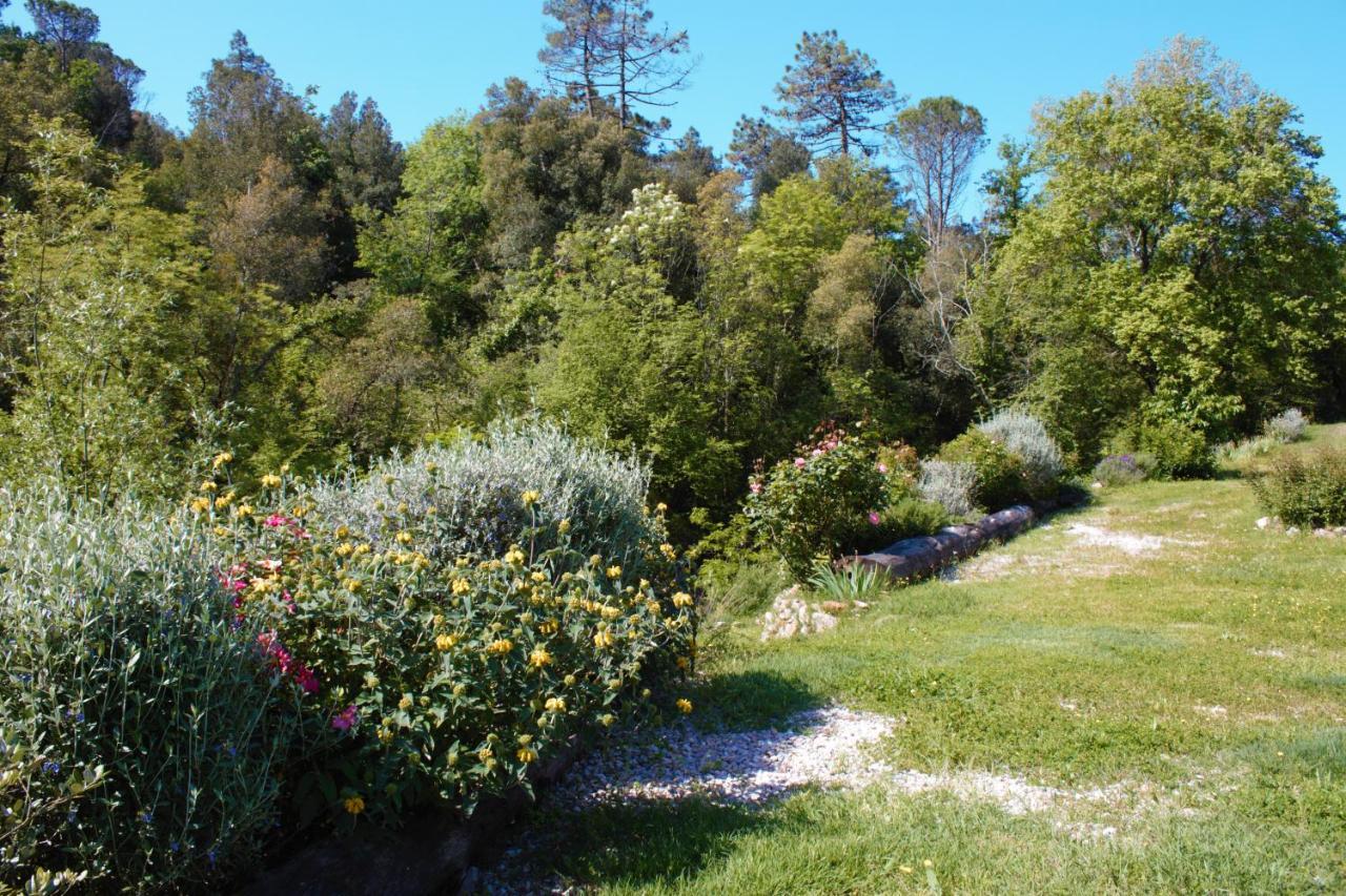 Vila Mulino Della Rivolta Montenero  Exteriér fotografie