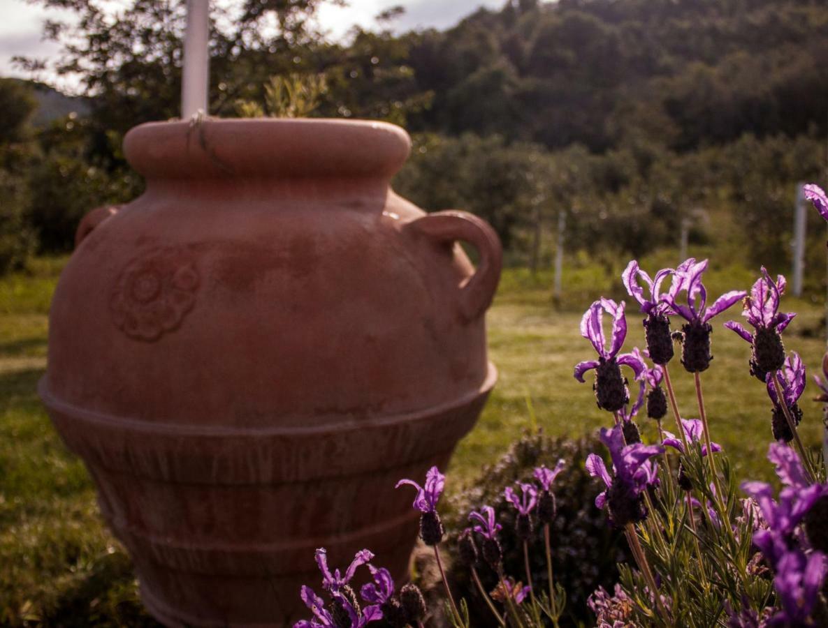 Vila Mulino Della Rivolta Montenero  Exteriér fotografie